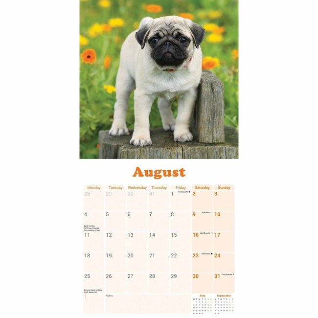 Mops Mini Kalender 2025 Kaufen | Einfach online bestellen