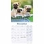 Mopshond Kalender 2025 Mini