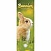 CarouselCalendars Calendario dei conigli 2025 Slimline