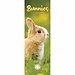 CarouselCalendars Rabbits Calendar 2025 Slimline