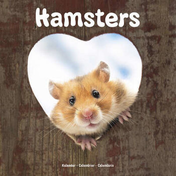 Hamster kalender