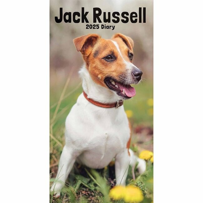 CarouselCalendars Jack Russell Terrier Calendario de Bolsillo 2025