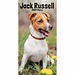 CarouselCalendars Calendrier de poche Jack Russell Terrier 2025