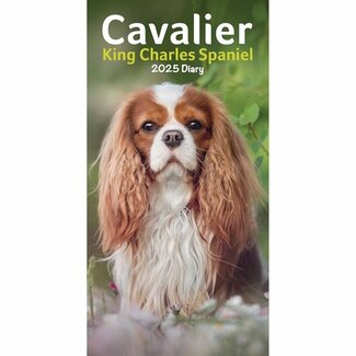 CarouselCalendars Cavalier King Charles Spaniel Calendario de Bolsillo 2025