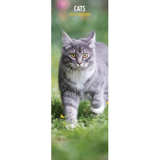 Magnet & Steel Cat Calendar 2025 Slimline