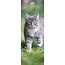 Cat Calendar 2025 Slimline