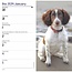 Engelse Springer Spaniel Pocket Agenda 2025