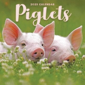 CarouselCalendars Calendrier des cochons 2025 Mini