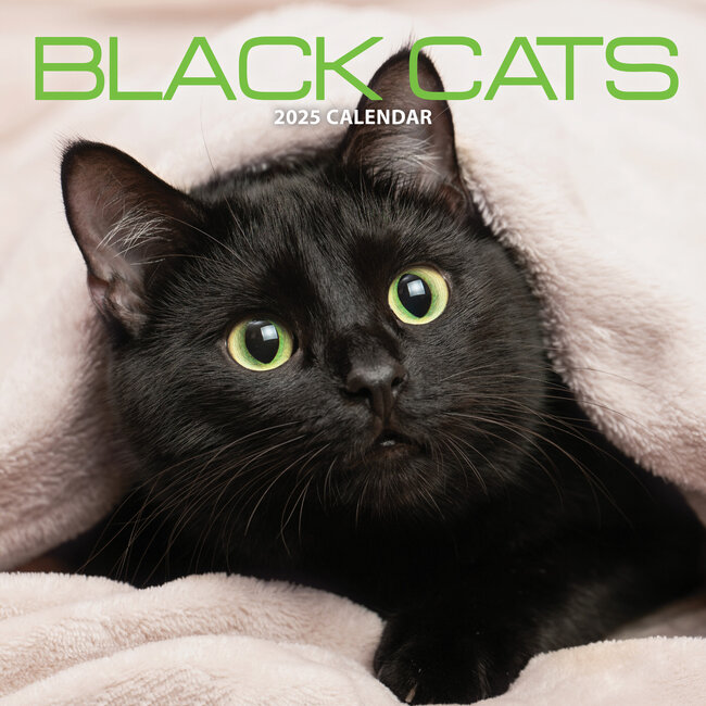 Magnet & Steel Black Cats Calendar 2025