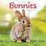 Bunnies Calendar 2025 Mini