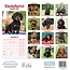 Dachshund-Kalender 2025 Mini