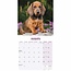 Dachshund-Kalender 2025 Mini