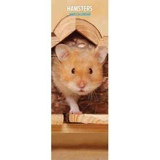 Magnet & Steel Calendrier Hamster 2025 Slimline