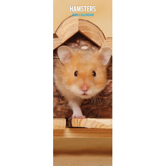 Magnet & Steel Hamster-Kalender 2025 Slimline