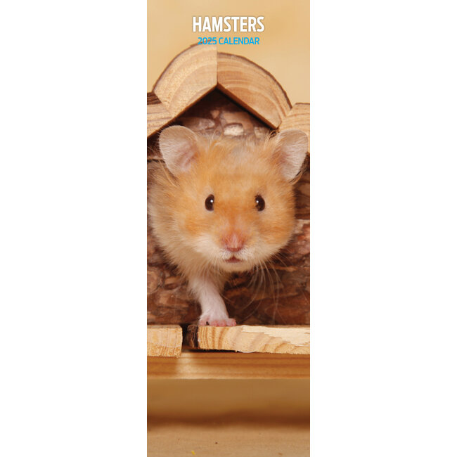 Hamster Calendar 2025 Slimline