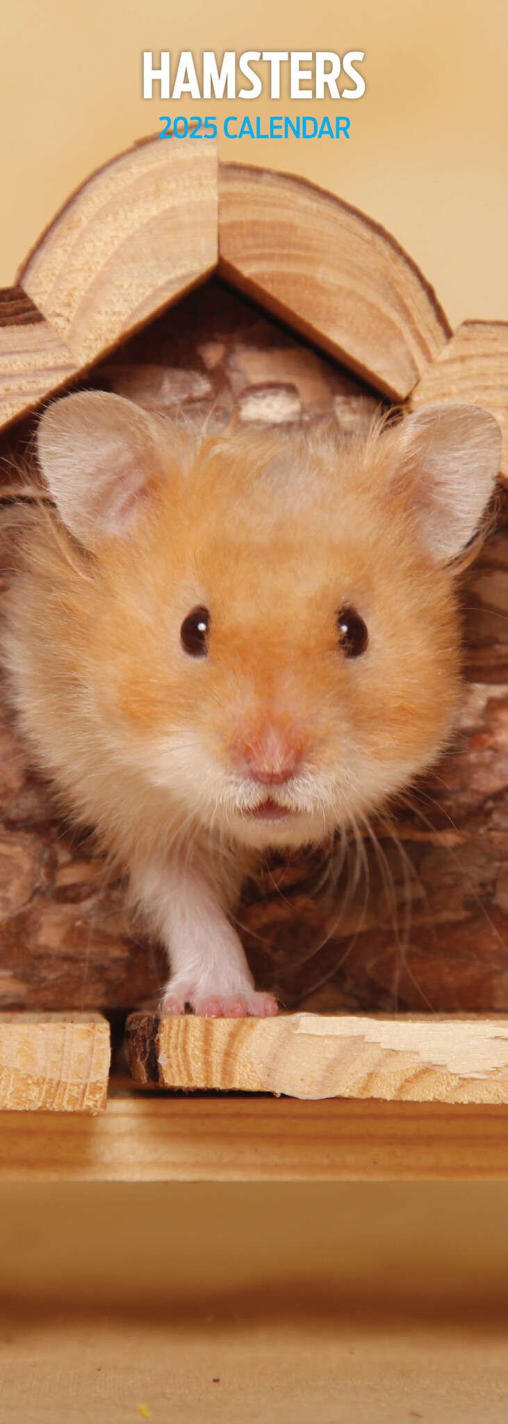 & Steel Hamster Calendar 2025 Slimline