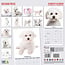 Bichon Frise Calendar 2025 Modern