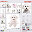 Bichon Frise Kalender 2025 Modern