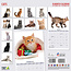 Cat Calendar 2025 Modern