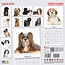 Lhasa Apso Kalender 2025 Modern