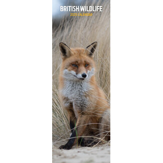 Magnet & Steel British Wildlife Kalender 2025 Slimline