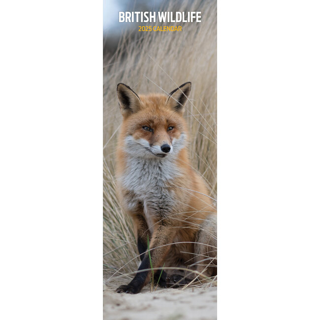 Calendrier de la faune britannique 2025 Slimline