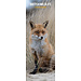 Magnet & Steel British Wildlife Calendar 2025 Slimline