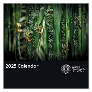 CarouselCalendars Wildlife Fotograaf van het Jaar Kalender 2025
