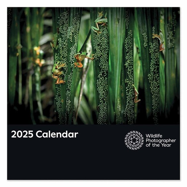 British Wildlife Calendar 2025 Bree