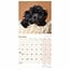 Cockapoo Puppies Mini Calendar 2025