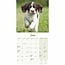 English Springer Spaniel Puppies Mini Calendar 2025