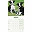 Border Collie Mini Kalender Puppies 2025