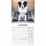 Border Collie Mini Calendrier Chiots 2025