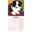 Border Collie Mini Calendar Puppies 2025