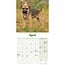 Border Terrier Mini Calendar Puppies 2025