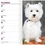 West Highland White Terrier Calendario de Bolsillo 2025