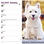 Calendrier de poche West Highland White Terrier 2025