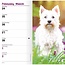 West Highland White Terrier Calendario de Bolsillo 2025