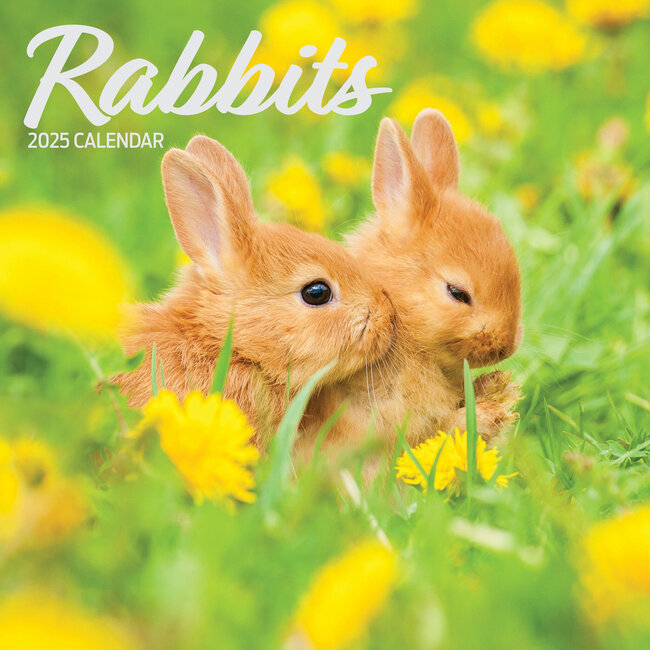 Kaninchen Kalender 2025