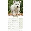 Mini-calendrier West Highland White Terrier 2025