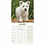 West Highland White Terrier Mini Calendar 2025