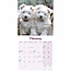 West Highland White Terrier Mini Calendar 2025