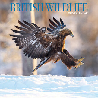 Magnet & Steel British Wildlife Calendar 2025