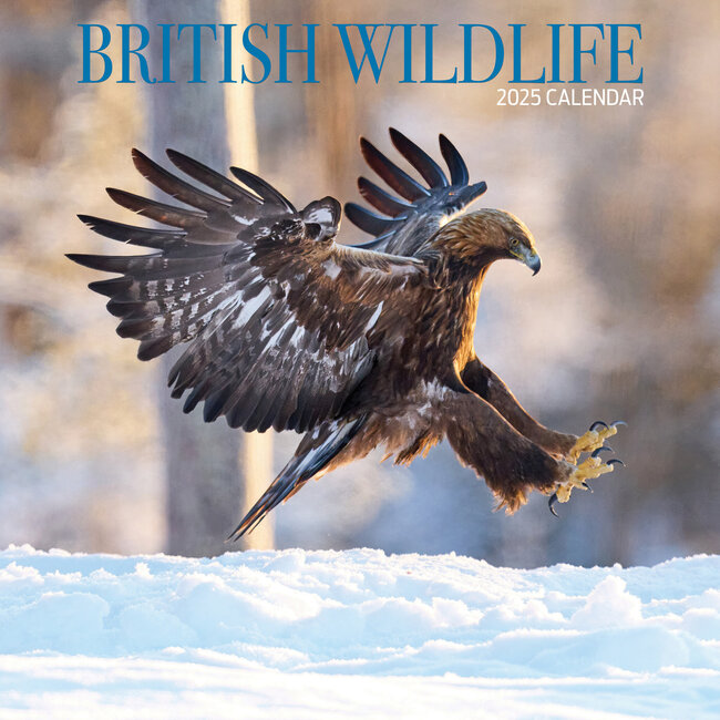Calendario della fauna selvatica britannica 2025