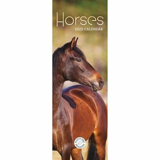 CarouselCalendars Paarden Kalender 2025 Slimline
