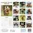 Yorkshire Terriers Chiots Calendrier 2025 Mini