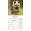 Calendario dei cuccioli di Yorkshire Terrier 2025 Mini