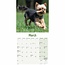 Yorkshire Terriers Chiots Calendrier 2025 Mini