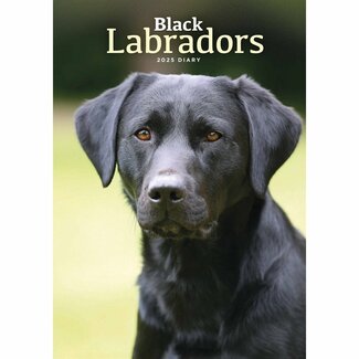 CarouselCalendars Labrador Retriever Negro A5 Agenda 2025