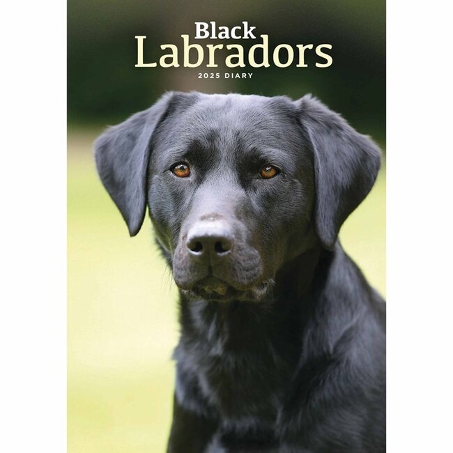 Labrador Retriever nero A5 Agenda 2025